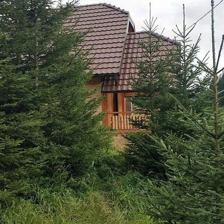 Brvnara Dolina Jela Bajina Basta