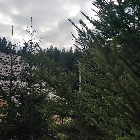 Brvnara Dolina Jela Tatil Evi *