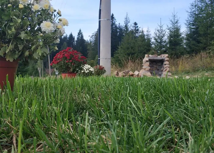 Tatil Evi Brvnara Dolina Jela Bajina Basta