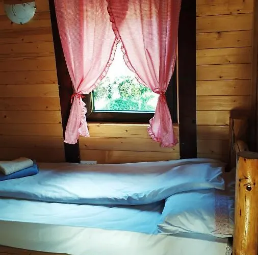 Brvnara Dolina Jela Tatil Evi Bajina Basta