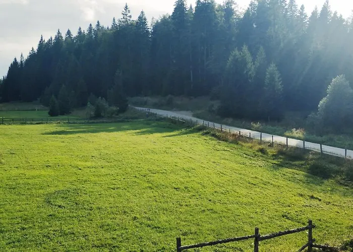 Brvnara Dolina Jela Tatil Evi Bajina Basta