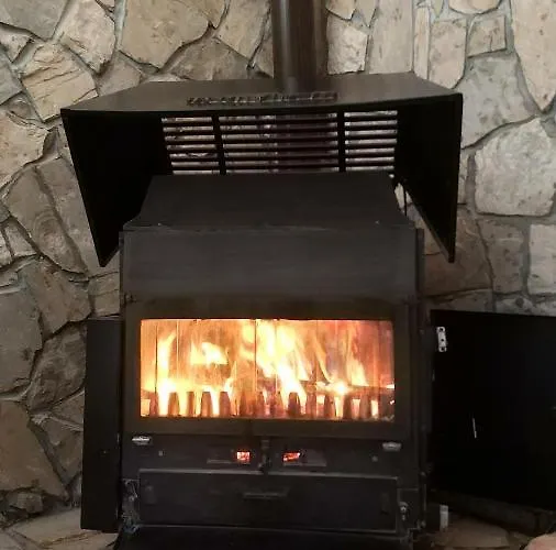 Brvnara Dolina Jela Tatil Evi Bajina Basta