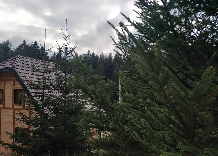 Brvnara Dolina Jela Tatil Evi *